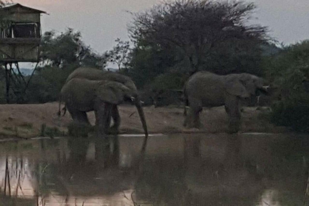 Kubu Khaya Mabalingwe Mabula Game Reserve Exterior foto